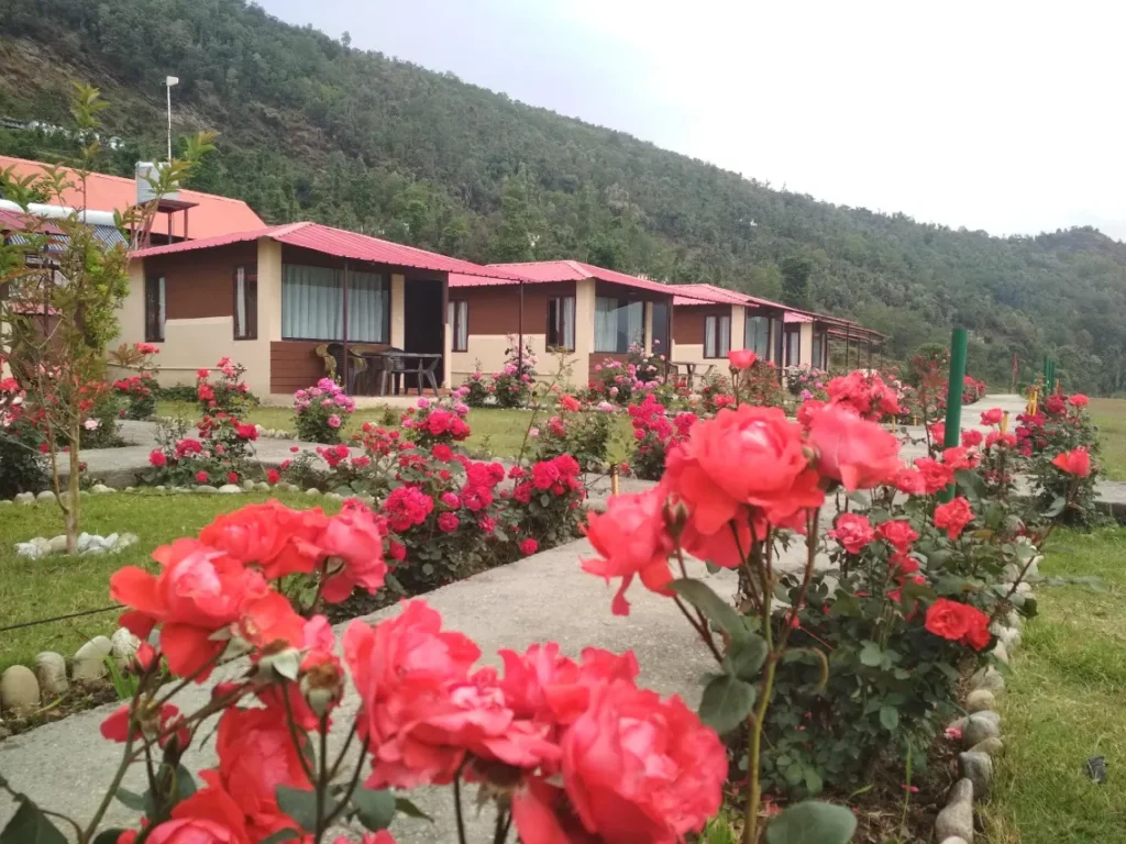 basecamp kedarnath, camping in kedarnath