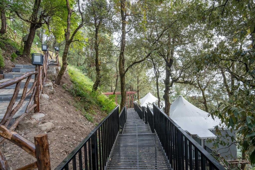camping in nainital
